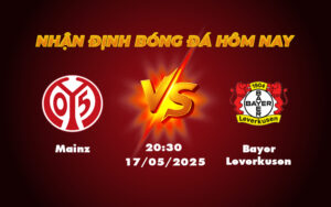 mainz bayer leverkusen 17 05 bundesliga